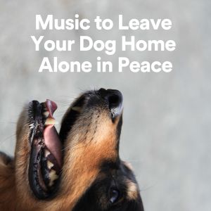 Album Music to Leave Your Dog Home Alone in Peace from Relaxing Music Therapy