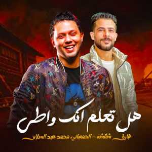 Listen to هل تعلم انك واطى song with lyrics from Tareq Sha2lasha