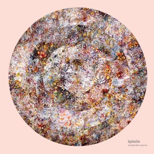 ดาวน์โหลดและฟังเพลง Þú komst við hjartað í mér พร้อมเนื้อเพลงจาก Hjaltalín