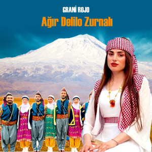 Listen to Ağır Delilo Zurnalı song with lyrics from Grani Rojo