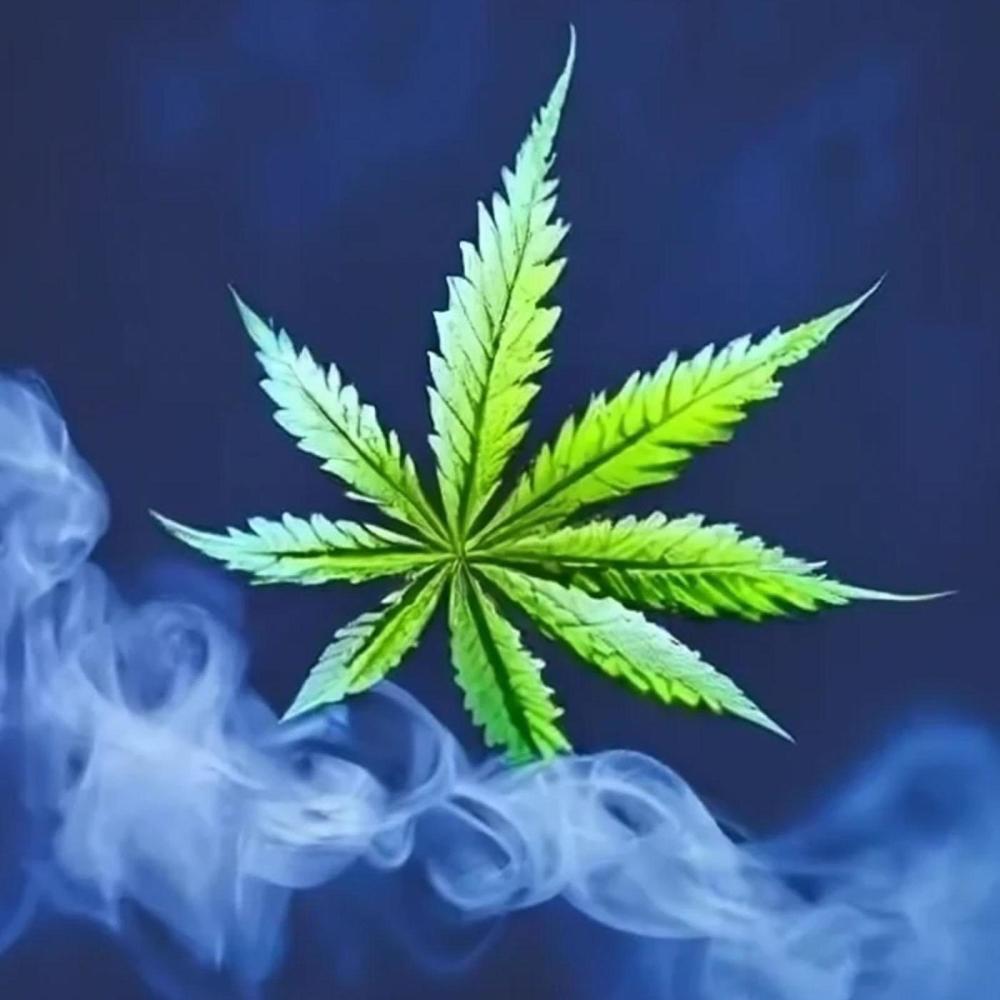 Rollin' Loud