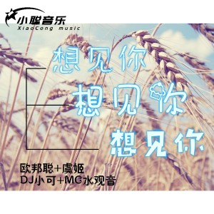 Album 想见你想见你想见你 from MC水观音