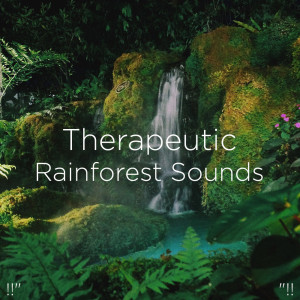 Listen to Sleep Rain song with lyrics from BodyHI