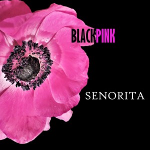 收聽Senorita的Blackpink歌詞歌曲
