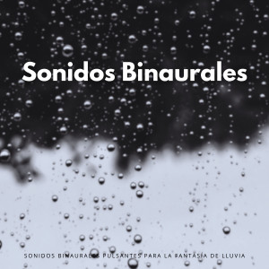 Dengarkan Una Noche Tormentosa lagu dari Movimientos Binaurales dengan lirik