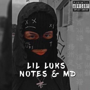 收聽Lil Luks的Notes & Md歌詞歌曲