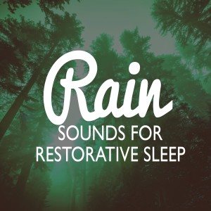 ดาวน์โหลดและฟังเพลง Autumn Rain พร้อมเนื้อเพลงจาก Rain Sounds Sleep