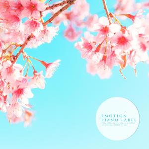 Album New Age Piano And Of Nature Sound (Nature Ver.) from Various Artists