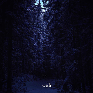 Album I wish (Explicit) from Jay Klair