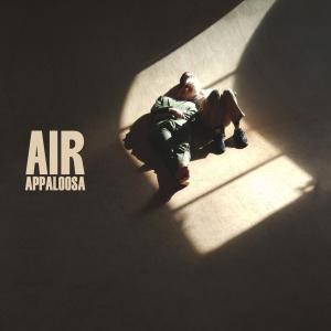 收聽Appaloosa的Air (Explicit)歌詞歌曲