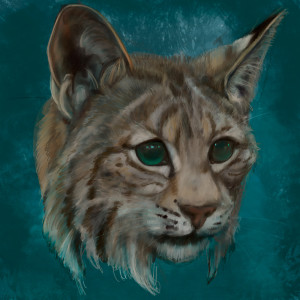 Listen to Mindmade (Explicit) song with lyrics from Bobcat