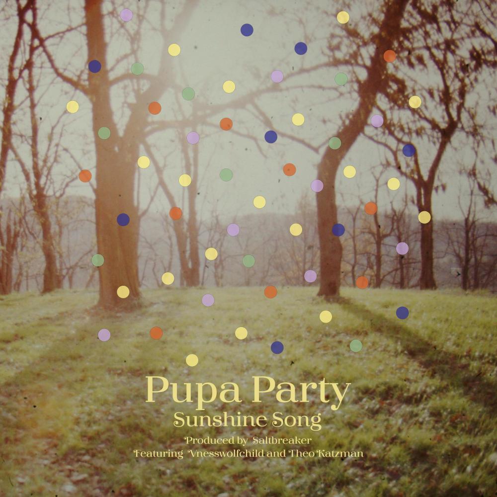 Sunshine Song (feat. vnesswolfchild & Theo Katzman)