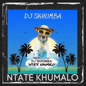 Listen to Pinyana song with lyrics from DJ Skhumba