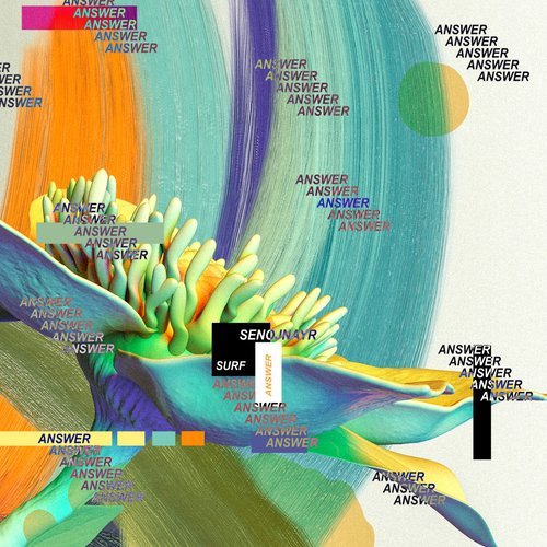 Answer (feat. Surf) (Explicit)
