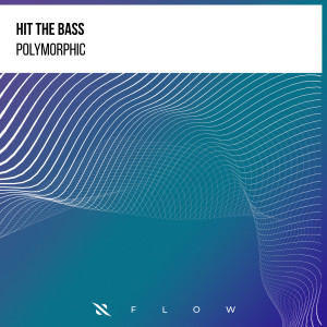 Hit The Bass的專輯Polymorphic