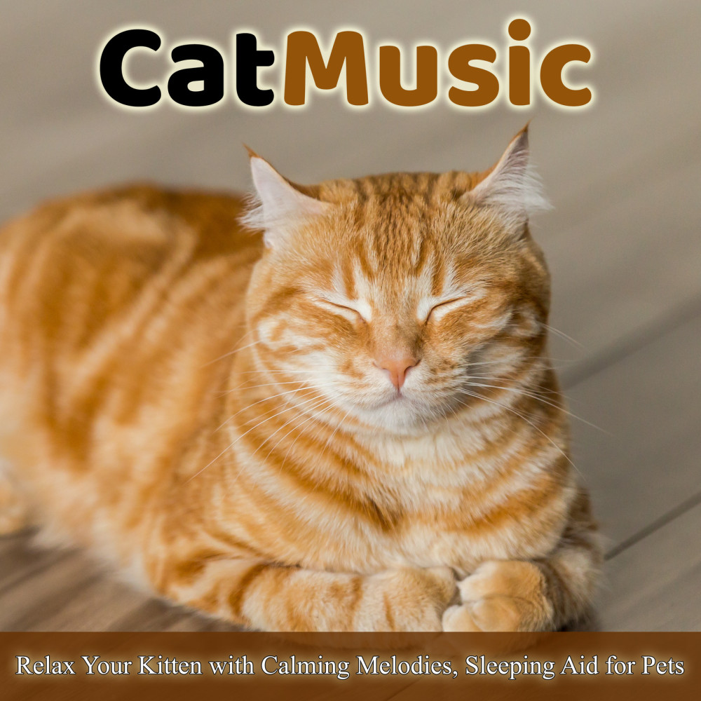 Music for Cats