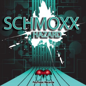 Listen to Wrapped in Plastic song with lyrics from Schmoxx
