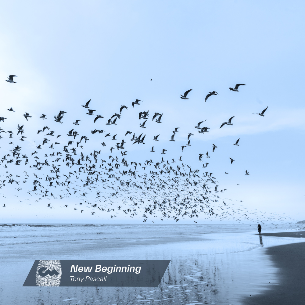 New Beginning