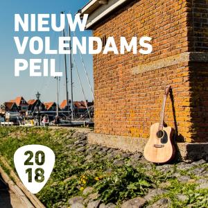 Album Nieuw Volendams Peil 2018 from Various