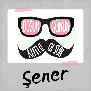 Listen to Doğum Günün Kutlu Olsun Şener song with lyrics from Sirel