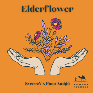 Album Elderflower from Sverre V