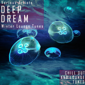 อัลบัม Deep Dream - Winter Lounge Tunes ศิลปิน Various