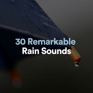 Album 30 Remarkable Rain Sounds from 24H Rain Sounds