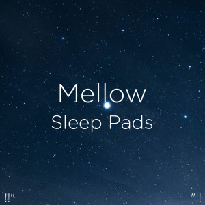 收聽Deep Sleep Music Collective的Reiki Healing Background歌詞歌曲
