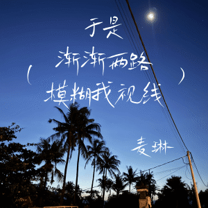 Album 于是 (渐渐两路模糊我视线) from 雪兔生煎