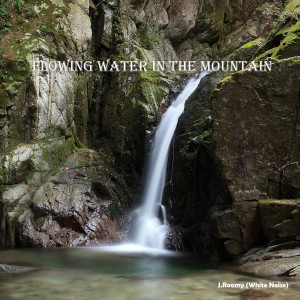 Listen to Flowing Water in the Mountain (ASMR, Nature Sound) song with lyrics from J.Roomy