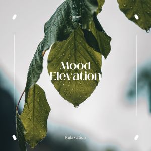 Album Mood Elevation from Deva Kaur