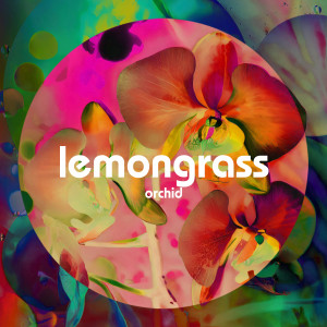 Album Orchid from Lemongrass