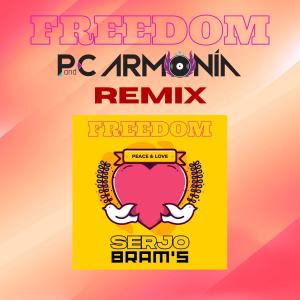 收聽Serjo Bram's的FREEDOM (feat. P and C Armonia) (P and C Armonia Remix)歌詞歌曲