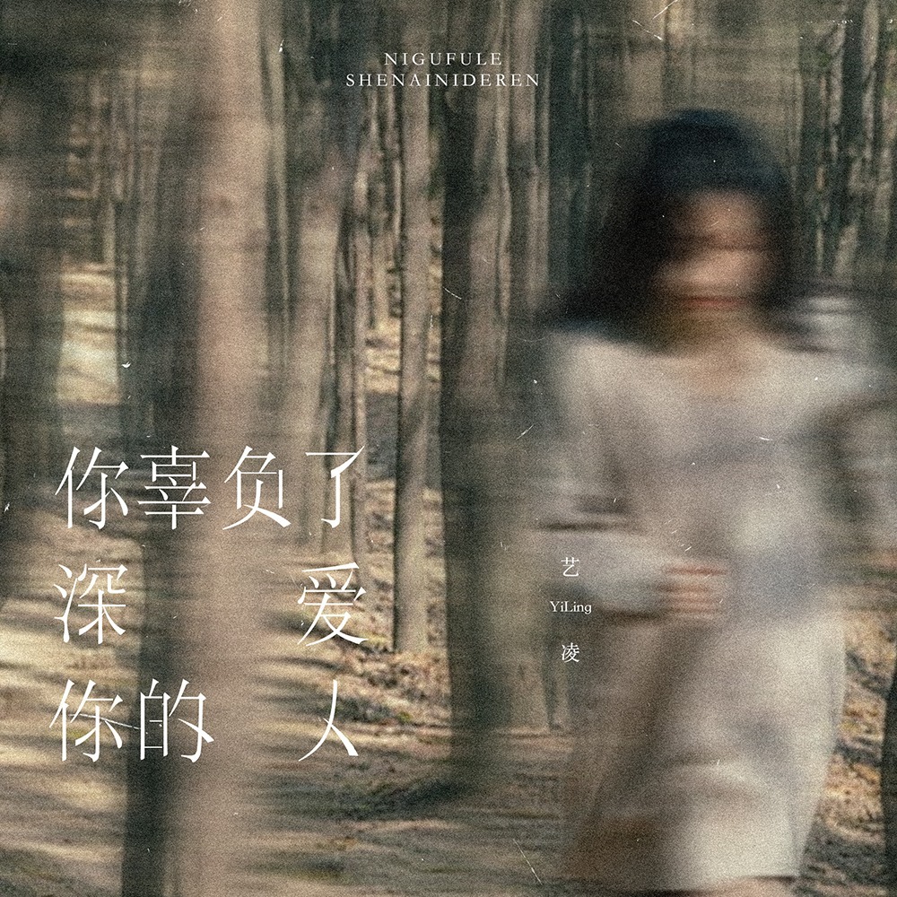 你辜负了深爱你的人 (DJ版伴奏)