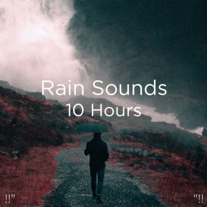 อัลบัม !!" Rain Sounds 10 Hours "!! ศิลปิน Rain Sounds