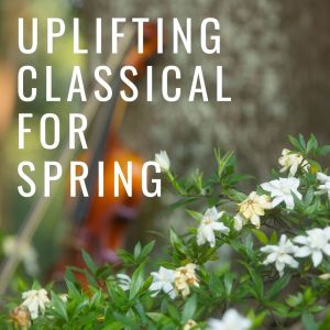 Listen to Concerto for Piano and Orchestra  Op 54 song with lyrics from Sparrow Orchestra
