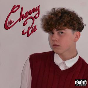 ดาวน์โหลดและฟังเพลง Cherry Pie (Explicit) พร้อมเนื้อเพลงจาก Luke Dagon