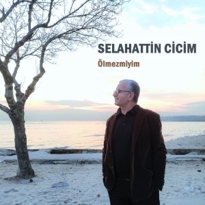 收聽Selahattin Cicim的Vuruldum Ona歌詞歌曲