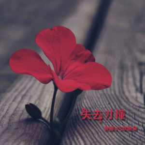 收听渔圈的失去才懂歌词歌曲