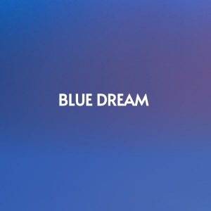 Dengarkan Blue Dream lagu dari Don Gibson dengan lirik