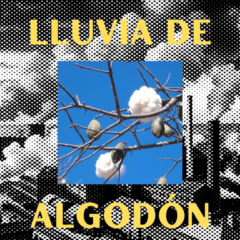 Lluvia de Algodón (Explicit)