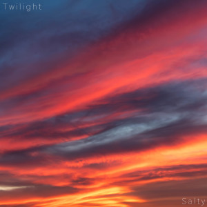Album Twilight from Salty