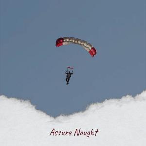 Album Assure Nought oleh Various