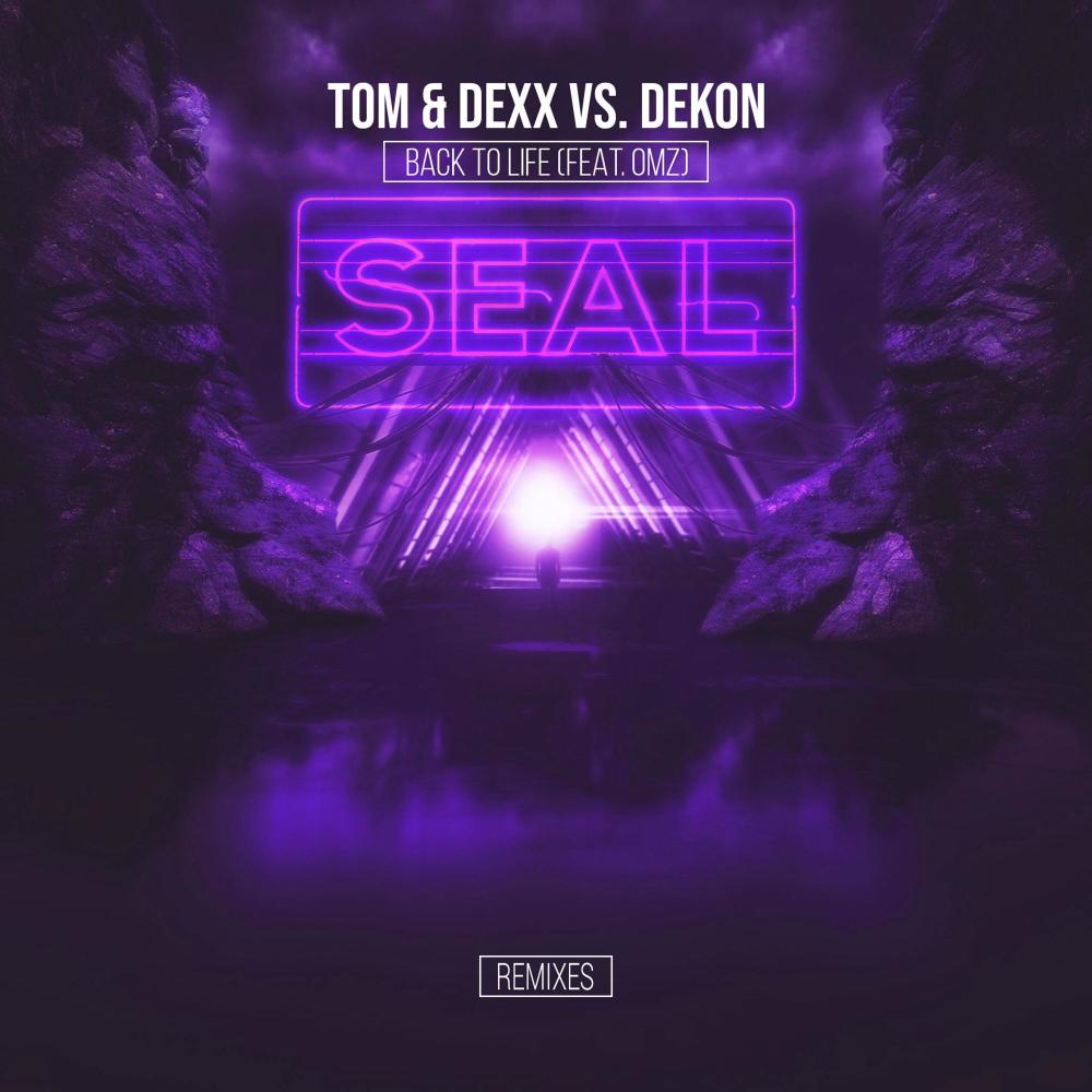 Back To Life (feat. OMZ) [Brknbs Remix] (Brknbs Remix)