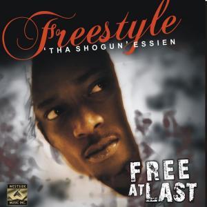 收听Freesytle Essein的Lets Get Down歌词歌曲