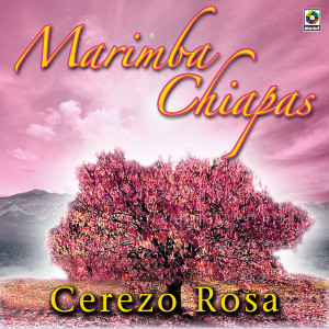 收聽Marimba Chiapas的Cerezo Rosa歌詞歌曲