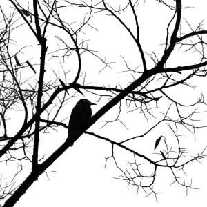 Listen to Thank You (cover: Dido) (完整版) song with lyrics from The XXX