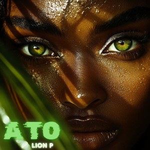 Album A To (Explicit) from Lion P