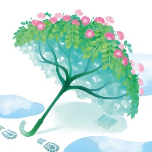 Album The Rain Tree from Various