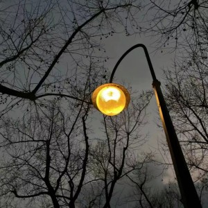 Album 敏感让人感受双倍的爱和痛苦（Beat） from Zy